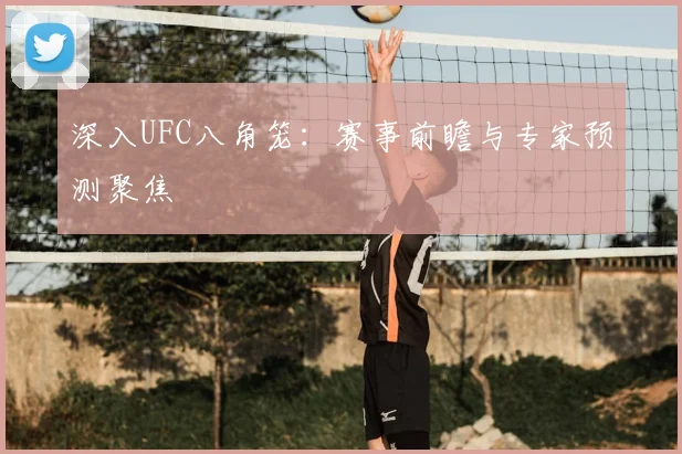 深入UFC八角笼：赛事前瞻与专家预测聚焦