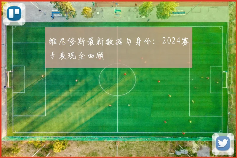 维尼修斯最新数据与身价：2024赛季表现全回顾