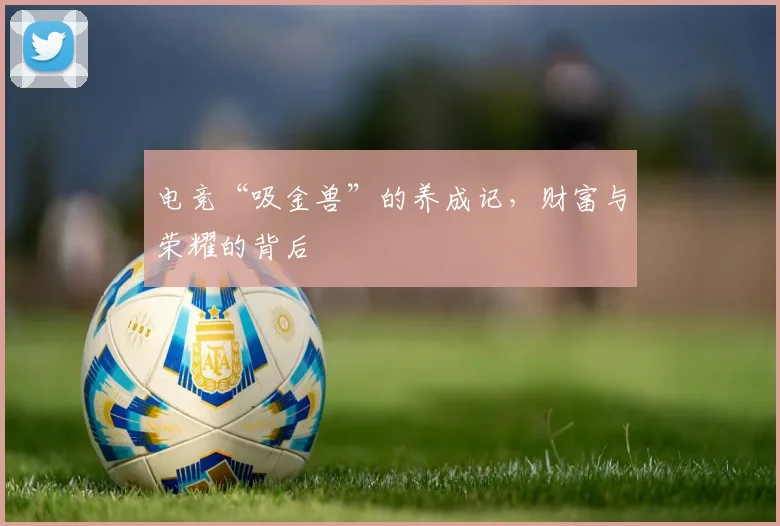 电竞“吸金兽”的养成记，财富与荣耀的背后
