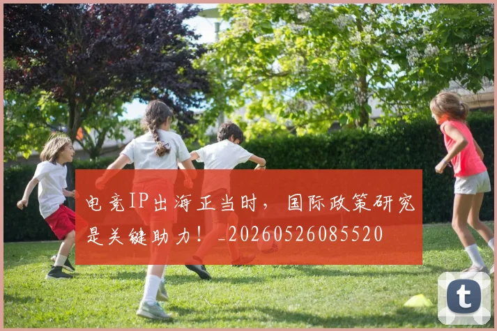 电竞IP出海正当时，国际政策研究是关键助力！_20260526085520