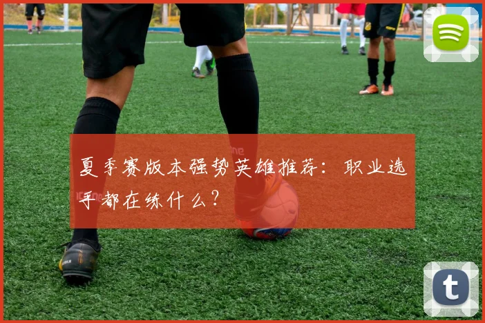 夏季赛版本强势英雄推荐：职业选手都在练什么？