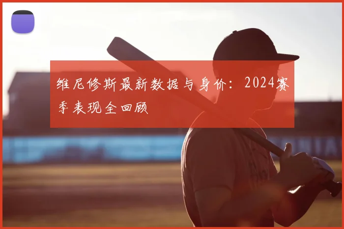 维尼修斯最新数据与身价：2024赛季表现全回顾