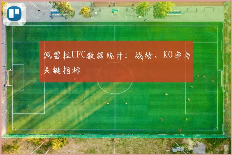 佩雷拉UFC数据统计：战绩、KO率与关键指标
