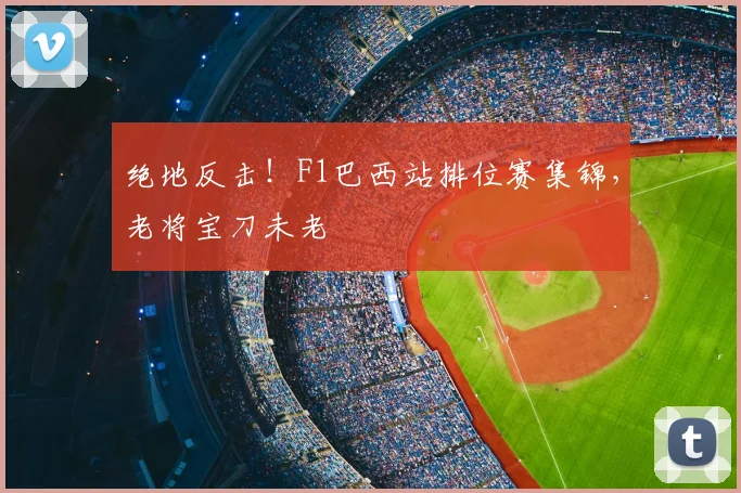 绝地反击!F1巴西站排位赛集锦,老将宝刀未老