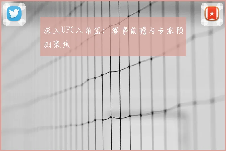 深入UFC八角笼：赛事前瞻与专家预测聚焦