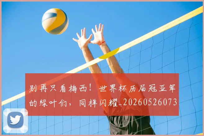 别再只看梅西！世界杯历届冠亚军的绿叶们，同样闪耀_20260526073155