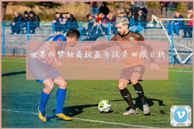 世界杯赞助商权益与投资回报分析