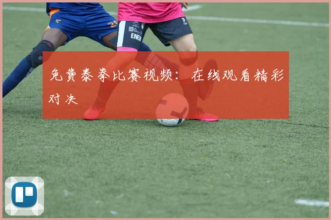 免费泰拳比赛视频：在线观看精彩对决
