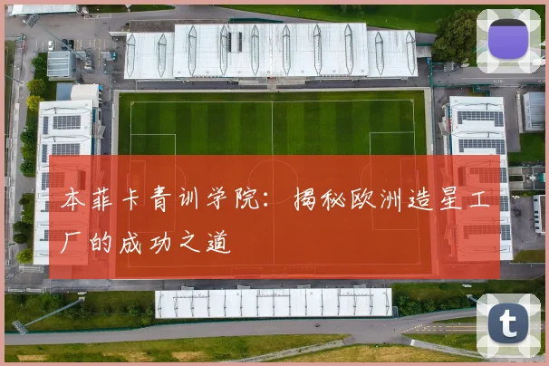 本菲卡青训学院：揭秘欧洲造星工厂的成功之道
